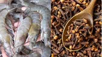 7 Fakta Penting di Balik Kasus Radioaktif Udang dan Cengkeh di Indonesia