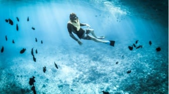 Menyelam ke Keindahan: Tempat Snorkeling Terbaik di Karimunjawa