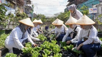 BRI Peduli Ubah Lahan Sempit Jadi Lumbung Pangan Lewat Program BRInita