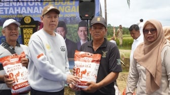 Sultan B. Najamudin Turun ke Sawah, Serahkan Alsintan dan Benih Jagung untuk Petani Bengkulu
