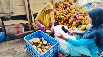 Tumbuh Bersama Kakao, Cerita Inspiratif Perempuan Saritani Gorontalo Tanam Kemandirian