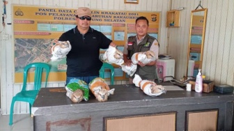 Penyelundupan Elang Langka Digagalkan di Pelabuhan Bakauheni