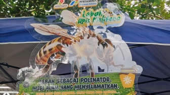 Saat Energi Menetes Jadi Madu: Cerita tentang Alam yang Kembali Menghidupi Manusia