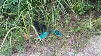 Penemuan Jasad Bayi Dalam Kantong Plastik di Kampar, Ada Bekas Gigitan Anjing