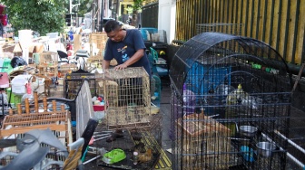 Pedagang membongkar kandang hewan yang dijual di Pasar Hewan Barito, Jakarta, Senin (27/10/2025). [Suara.com/Alfian Winanto]