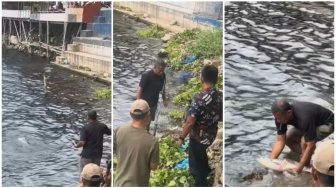Viral! Pemancing Dapat Ikan Mas Jumbo di Danau Toba Tapi Tak Boleh Dibawa Pulang, Ada Apa?