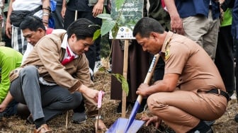 Demi Restorasi Lingkungan, KLH Ajak Kawasan Ekowisata di Puncak Tanam Harapan Baru