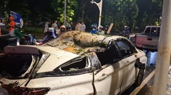Pengendara Mobil Tewas Tertimpa Pohon Tumbang di Dharmawangsa Raya Saat Hujan Deras