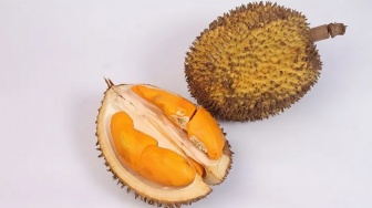 Dari Kutai untuk Nusantara: Unmul Dorong Lai Durian Jadi Buah Khas Kalimantan Timur