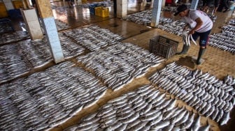 Jaga Kelestarian Laut, KKP Terapkan Batasan Penangkapan Ikan Maksimal 7 Juta Ton