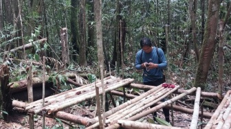 Ancaman Manusia Hantui Badak Pari, Satu-Satunya Badak Kalimantan yang Masih Bertahan