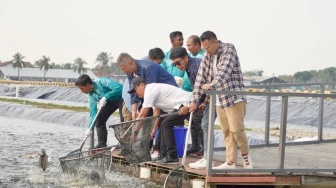 Raffi Ahmad ke Tambak! KKP Gandeng The Dudas-1 Promosikan Perikanan Modern