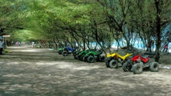 Permata yang Terlupakan, Keindahan Alam Pantai Kuwaru dengan Hutan Pinus, Kolam Renang, dan Seafood!