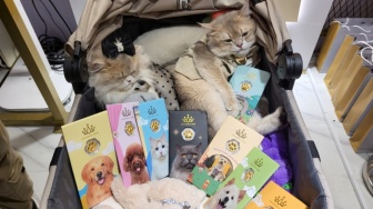 Ketika Anabul Jadi Keluarga, Hadir Tren Perhiasan Bertema Kasih Sayang untuk Hewan Peliharaan