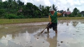 Produktivitas Naik 74 Persen, Bukit Biru Jadi Model Ketahanan Pangan Kaltim