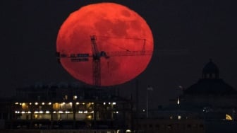 Link Live Streaming Supermoon 5 November 2025: Amati 'Fenomena Bulan Besar' Lebih Dekat