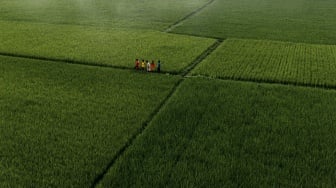 Mengapa Pertanian Berkelanjutan Menjadi Kunci Masa Depan Indonesia