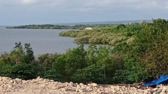 Pulau-Pulau di Makassar Terancam Tenggelam Akibat Ini