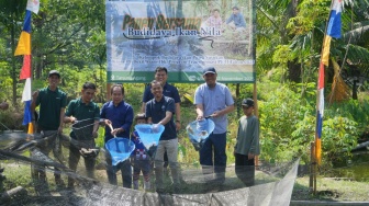 Transformasi PETI di Tanjung Agung: Dari Lubang Tambang Menjadi Sumber Kehidupan Baru