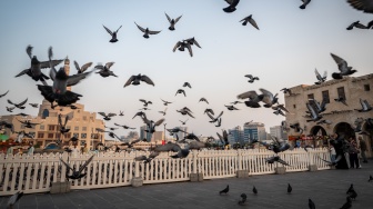 Pengunjung bermain dengan burung merpati di Souq Waqif, Doha, Qatar, Rabu (5/11/2025). [ANTARA FOTO/Bayu Pratama S/rwa]
