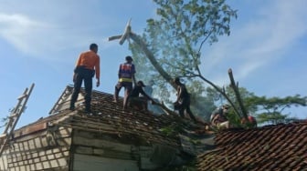 Angin Kencang Terjang Lampung: Ratusan Rumah Rusak, Warga Diminta Waspada