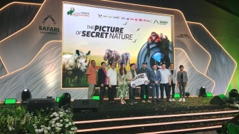 Dari Klik ke Kepedulian: Saat Visual Menyalakan Semangat Pelestarian Alam