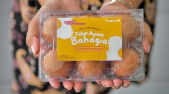 Telur Ayam Bahagia Penuh Gizi, Hasil Ketulusan Perempuan KWT Sumber Rejeki