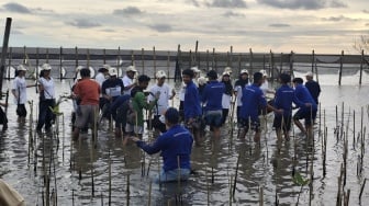 Mangrovolution Tanam 1000 Mangrove di Bantul: Aksi Nyata Jaga Pesisir Yogyakarta