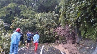 Jalur Selatan Cianjur Nyaris Putus Total, Pohon Tumbang Segede Gaban 'Blokade' Jalan Utama