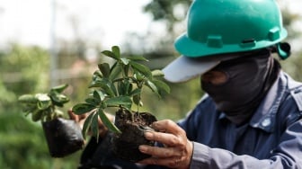 Menteri Lingkungan Hidup: Ekonomi Hijau Harus Sejalan dengan Masyarakat dan Alam