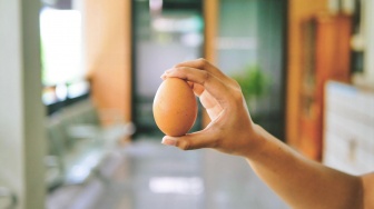 Telur Ayam Bahagia Penuh Gizi, Hasil Ketulusan Perempuan KWT Sumber Rejeki