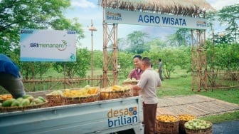 BRI Jangkau 4.909 Desa Lewat Program Desa BRILiaN untuk Dorong Ekonomi Inklusif Nasional