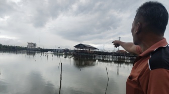 Mangrove Bukan Sekadar Benteng Pesisir: Lebih dari Penjaga Karbon, Penopang Kehidupan Laut
