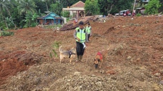 Aksi Heroik 10 Anjing Pelacak K9, Endus Jejak Korban Longsor Maut di Cilacap