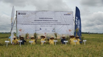 Perkuat Ketahanan Pangan, Bank Mandiri Bantu Petani Kebumen Tingkatkan Keberhasilan Panen