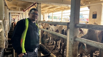 Prospek Industri Peternakan Cerah, Pasar Pakan Ternak Diproyeksikan Capai USD 12,5 Miliar pada 2033