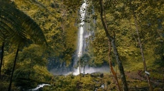 Pemkab Jember Siapkan Air Terjun Tancak  Sebagai Destinasi Unggulan Baru