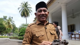 Bupati Limapuluh Kota Kaget Harga Ekstrak Gambir di India Melonjak: Harga dari Petani Sumbar Murah!