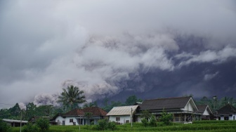 Luncuran awan panas Gunung Semeru di Desa Sumberwuluh, Candipuro, Lumajang, Jawa Timur, Rabu (19/11/2025). [ANTARA FOTO/Irfan Sumanjaya/YU]