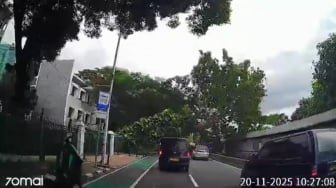 Detik-detik Pohon Raksasa Tumbang di Sisingamangaraja: Jalan Macet, Pengendara Panik Menghindar!