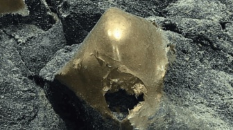 Bola Emas Misterius di Dasar Laut Alaska, Bikin Bingung Para Ilmuwan