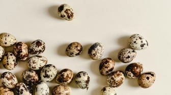 Presiden Prabowo Usul Menu MBG Telur Ayam Diganti Telur Puyuh, Nutrisinya Lebih Oke Mana?