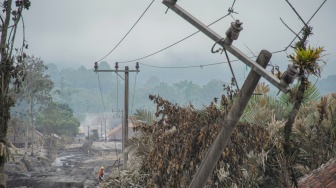 Dampak Erupsi Semeru: 3 Warga Luka Berat, 204 Hektare Lahan Pertanian Rusak!