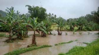Tiga Nagari di Tanah Datar Diterjang Banjir dan Angin Kencang, Jembatan Putus hingga Rumah Rusak!