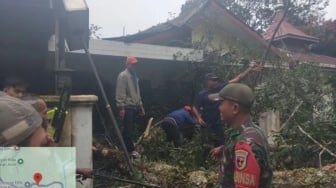 Seorang Warga Palupuh Agam Tewas Tertimbun Tanah Longsor, Rumahnya Juga Tertimbun!
