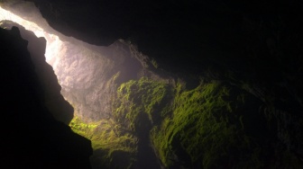 Menyingkap Pesona Tersembunyi Gua Jomblang: Dari Cahaya Hingga Ekosistem