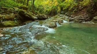 Bukan Sungai Biasa: Bongkar Keajaiban Alam dan Sejarah Sungai Cikahuripan yang Jarang Diketahui!