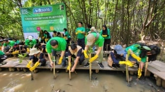 Cantik Berkelanjutan: Aksi Menanam Mangrove sebagai Bentuk Self-Care