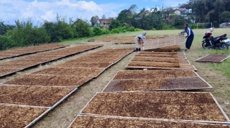 Gegara Aturan Baru, Industri Tembakau Disebut Terancam Mati Pelan-Pelan