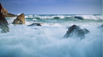 Jelajahi Keindahan Rahasia Taman Nasional Meru Betiri